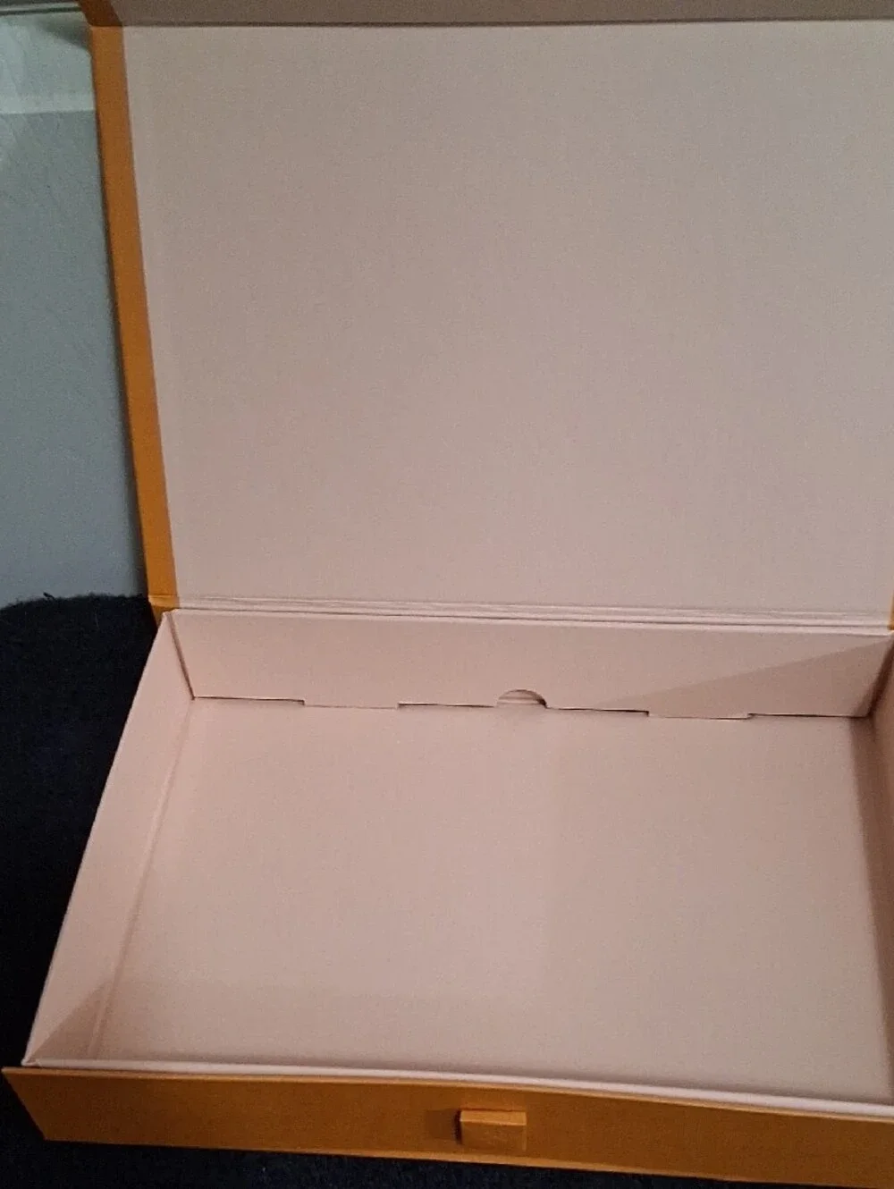 Louis Vuitton authentic louis